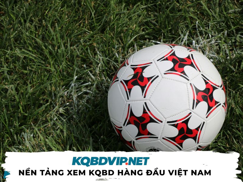 xem-kqbd-tai-kqbdvip.net